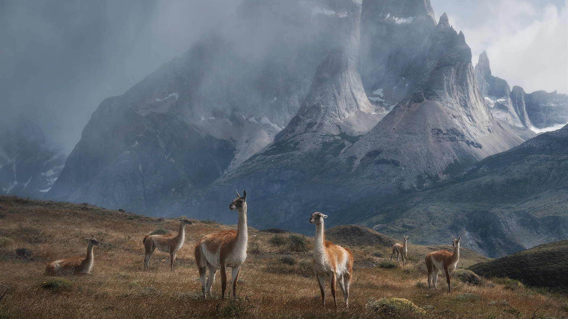 从无声处听惊雷，蒂亚戈如何用44分钟撕碎勒沃库森的不败神话