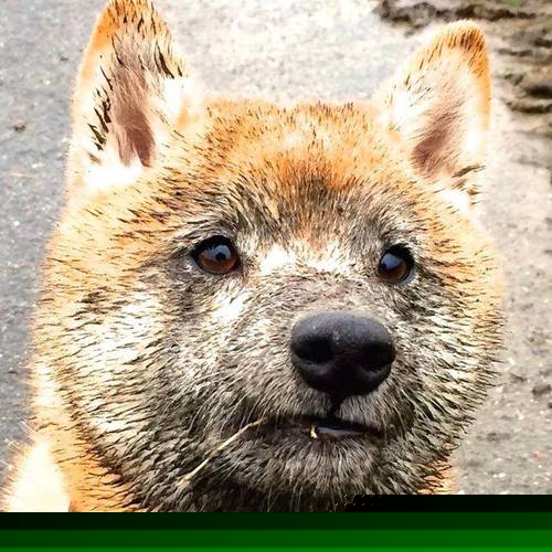 灼浪破冰锋,易建联擎炬,热火力克辽宁