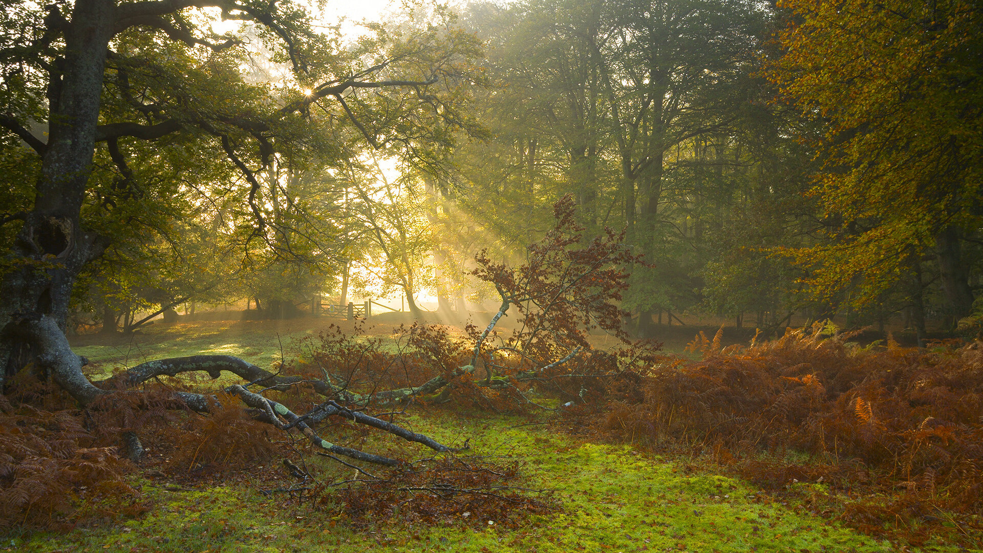 爱游戏官方入口-双面唯一性，印度队的逆鳞与李梓嘉的孤峰
