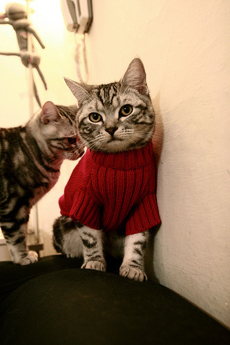 铁卫金玟哉一锤定音,哥伦比亚与英格兰的世纪对决,亚洲之星闪耀全球