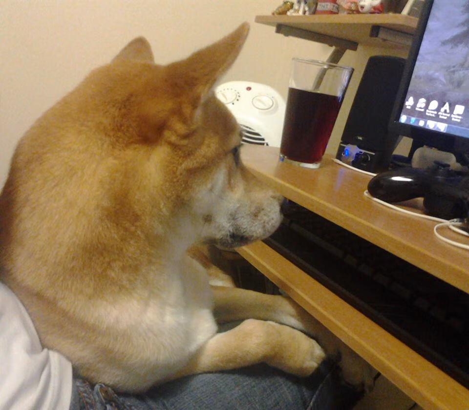 巴黎过客,点燃英超,争冠夜为何被他者决定