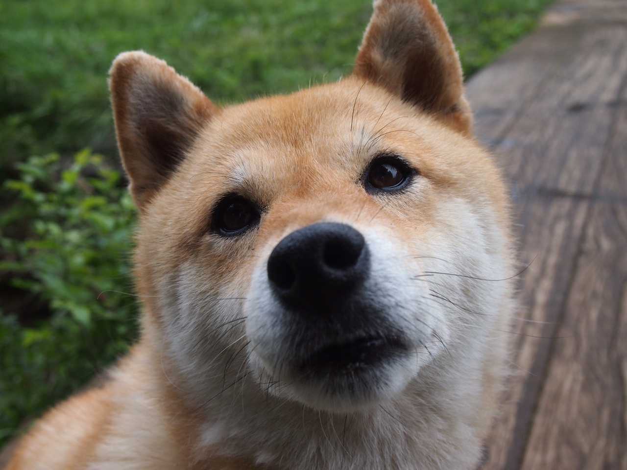 爱游戏大厅-塔尖之上，那个让世一锋相形见绌的德甲争冠夜