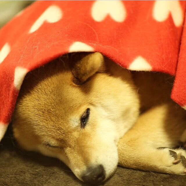 绝杀之后，里程碑背后的唯一性