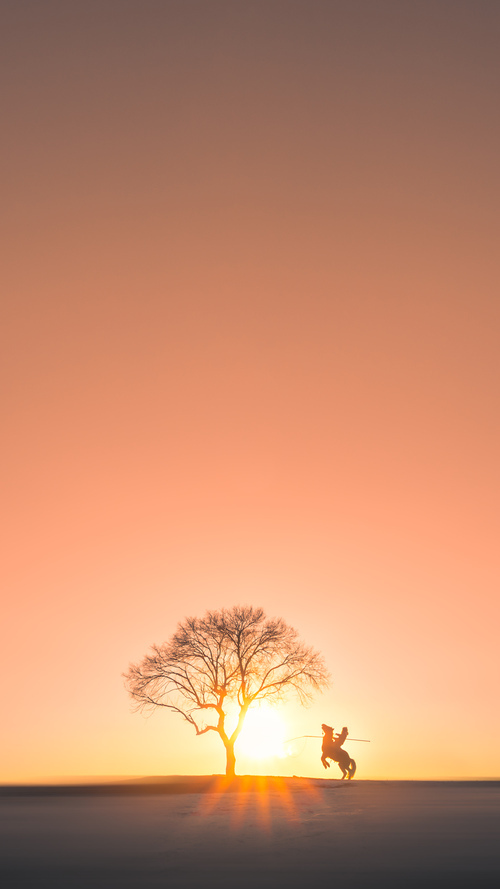 无形枷锁，范弗利特如何用防守美学重塑意甲焦点战