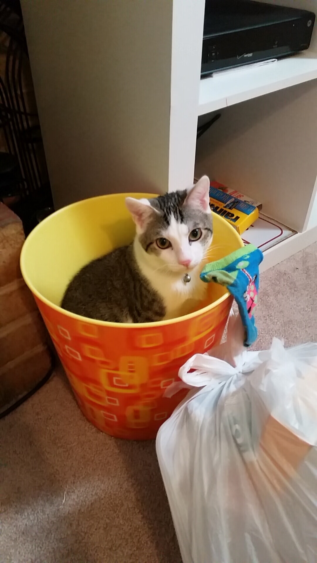 若日尼奥冷箭穿心定乾坤，马里压哨绝杀演绎黑马奇迹