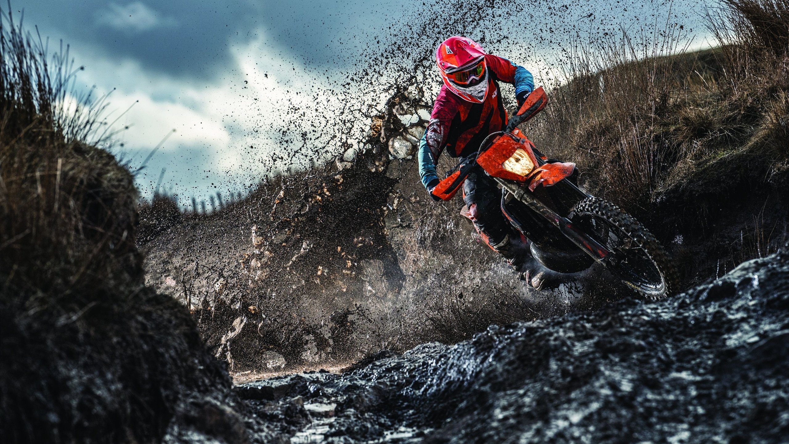 飓风眼与惊涛骇浪,西亚卡姆的统治力与鹈鹕的一波流美学