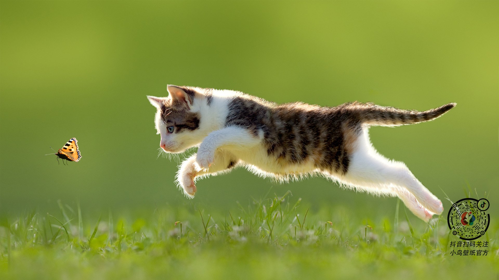 爱游戏大厅-刀刃出鞘，乾坤挪移，伦纳德骤雨狂澜，奇才以韵律枷锁绞杀尼克斯