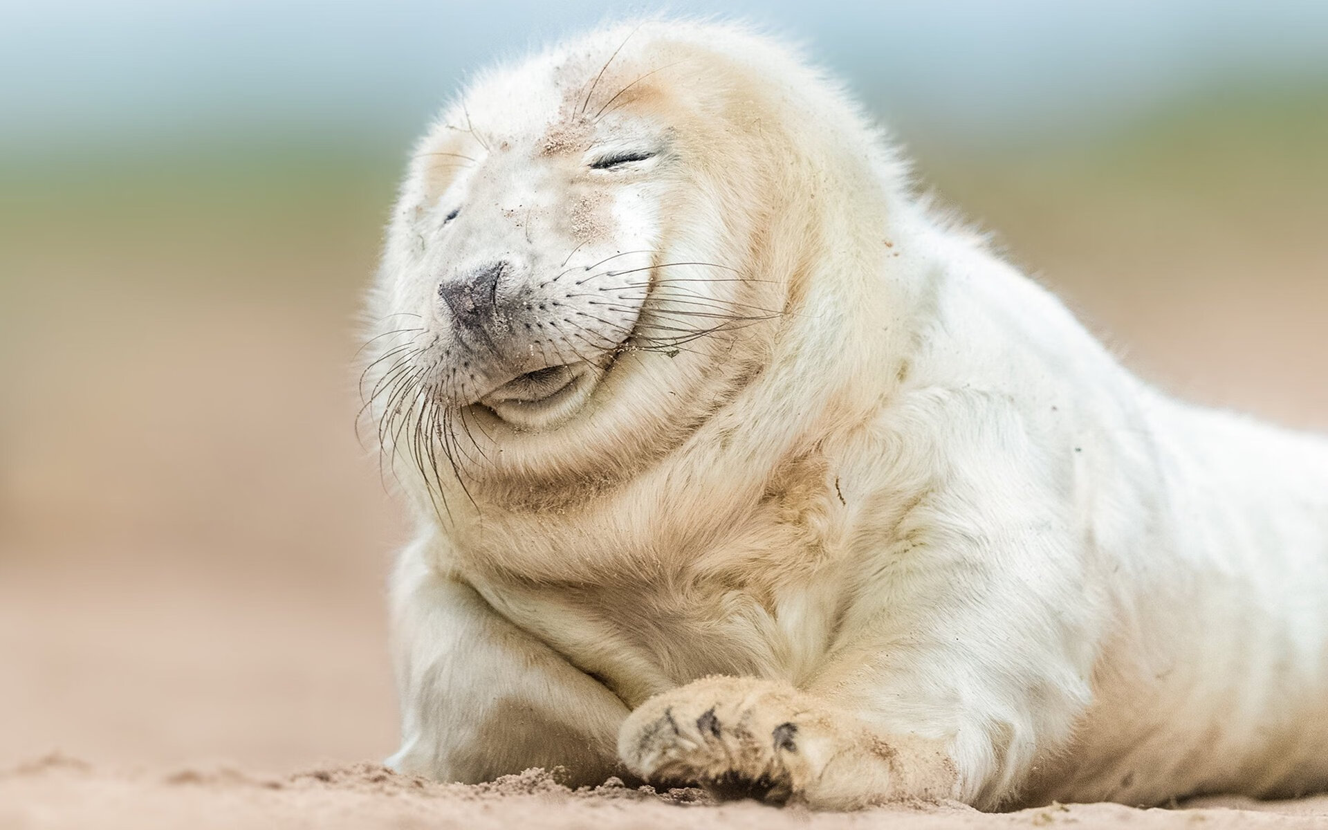 爱游戏官方-冰封射手解冻时—切特压哨三分凿穿五棵松，魔术加时逆转北京队