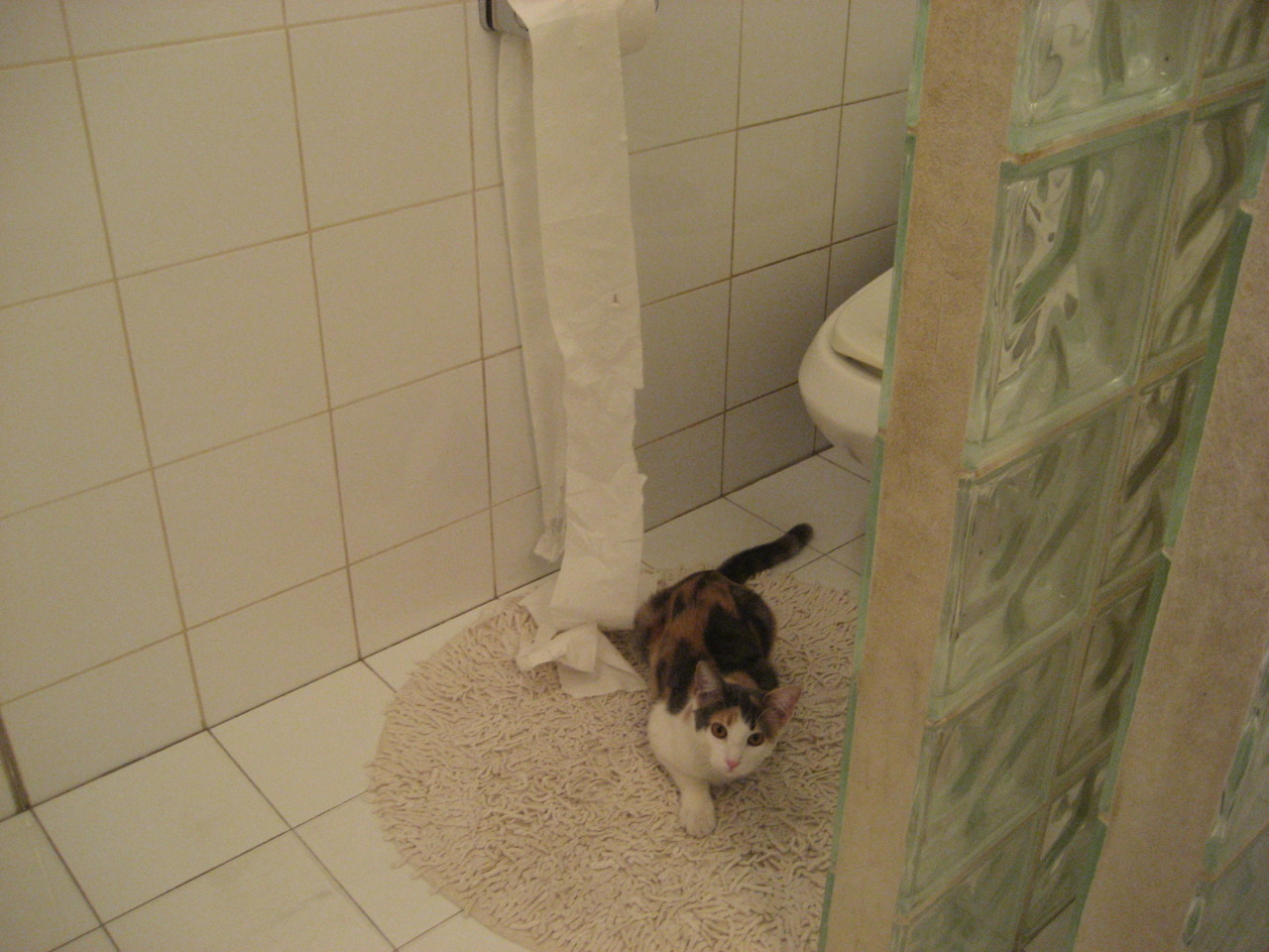 广厦队雷霆之势提前终结悬念，文班亚马稳定输出不掉线