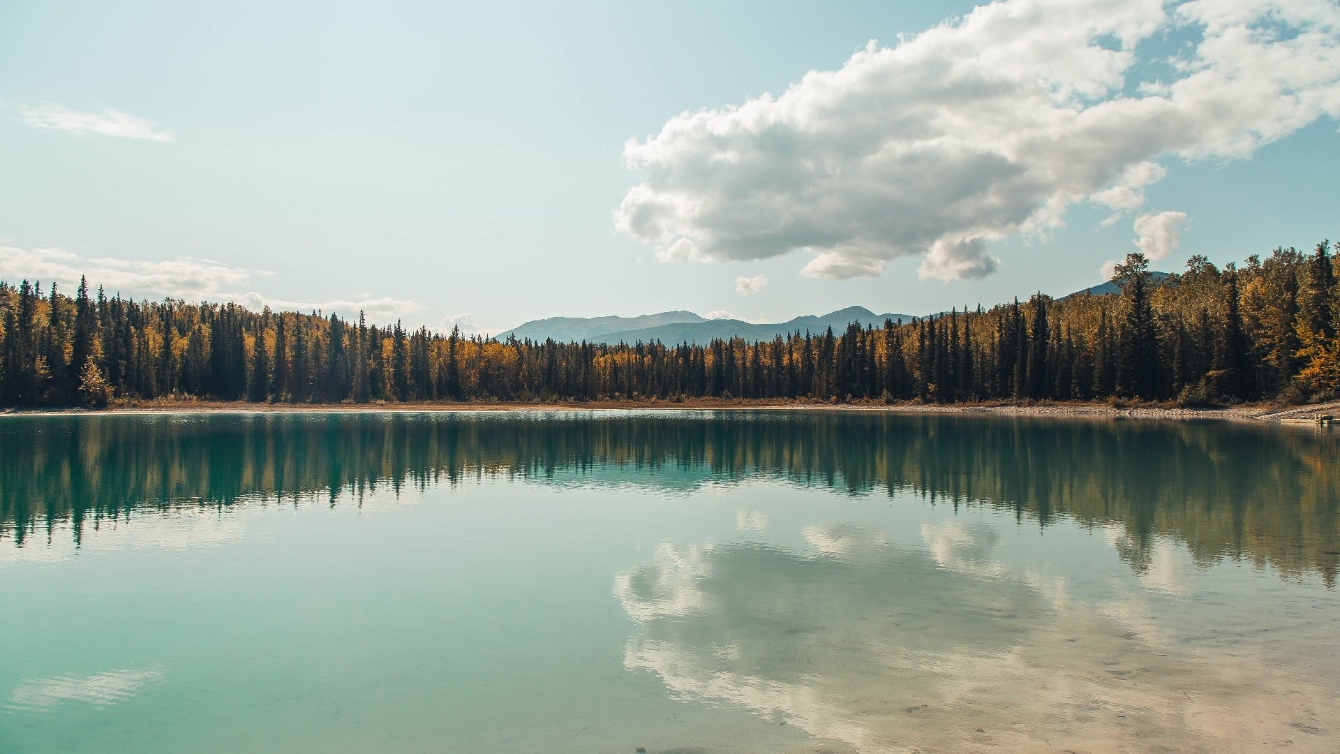 幽灵射手跨越次元壁，当利拉德的手表在CBA与德甲同时响起