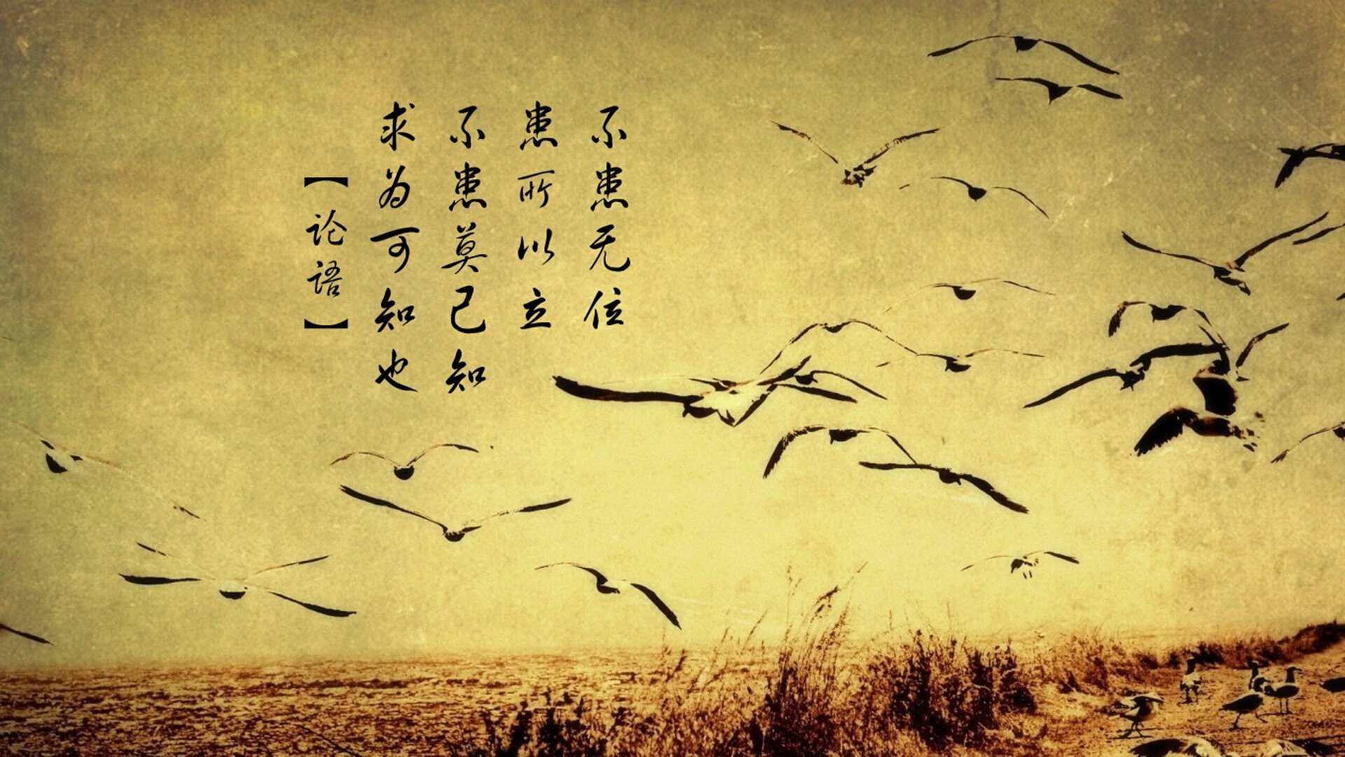 篮球场上的瑞典横扫，当阿什拉夫用足球智慧定义西决生死战