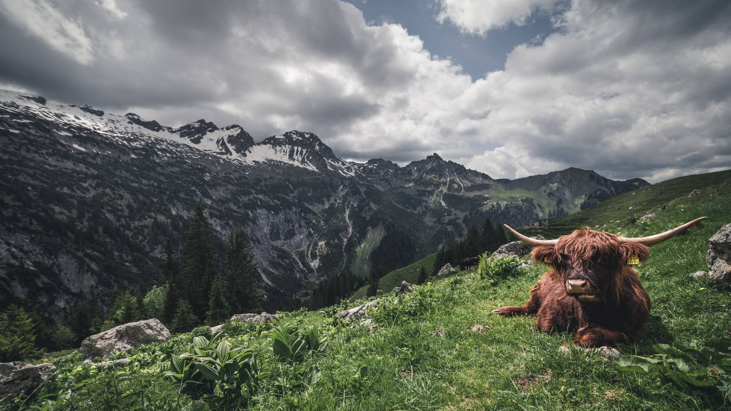 爱游戏下载-唯一的权力，当帕尔默在波兰逆转之夜接管一切