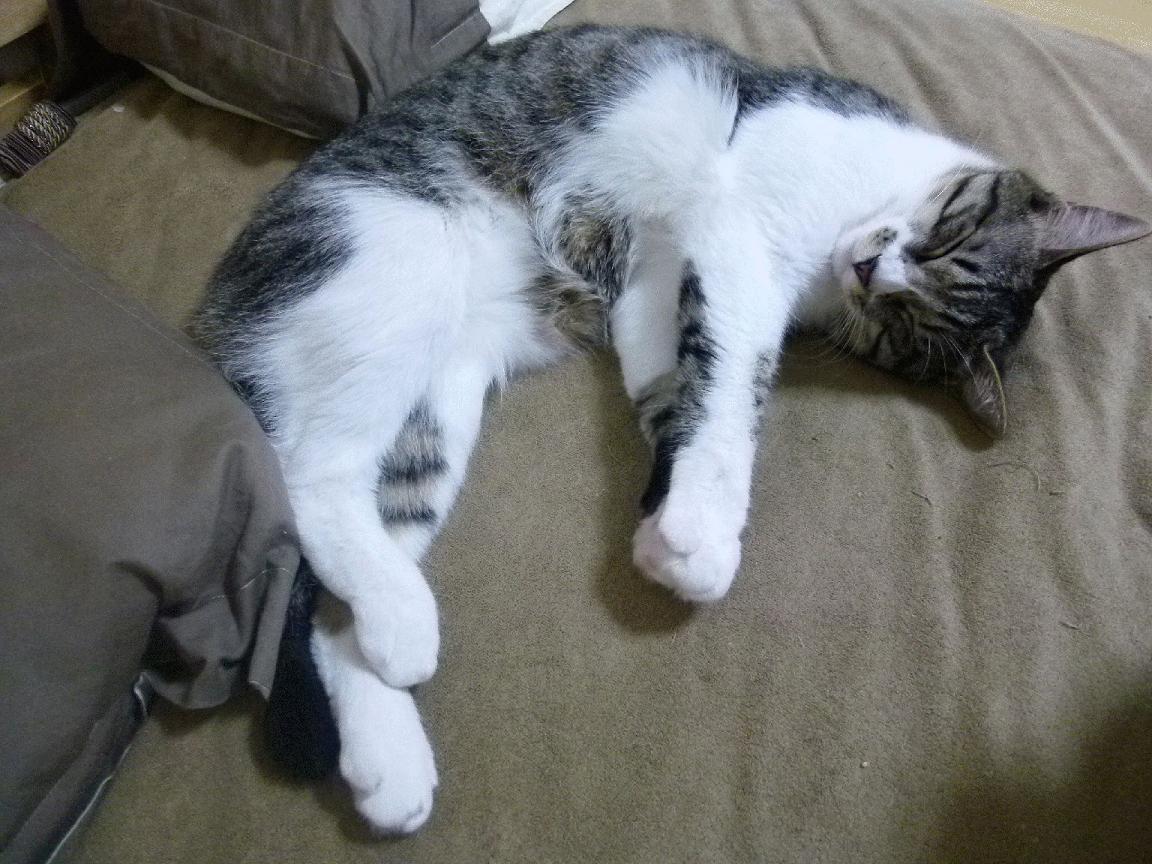 地缘足球,当希腊正面击溃伊拉克债务危机,内马尔式关键先生如何改变游戏规则