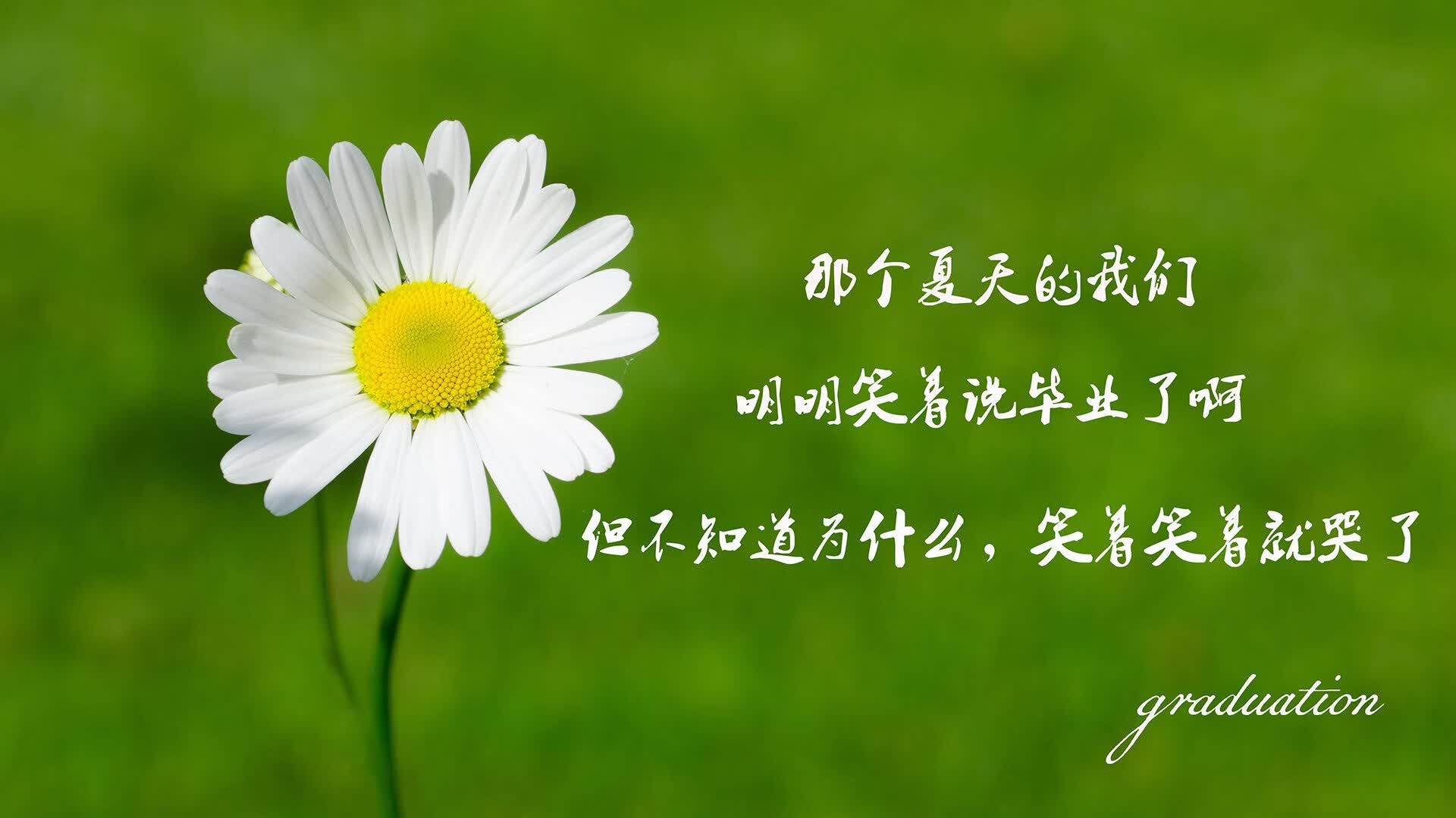 北境之焰,当冰岛在2026世界杯F组撕裂欧洲红魔,萨卡的致命一击书写唯一神迹
