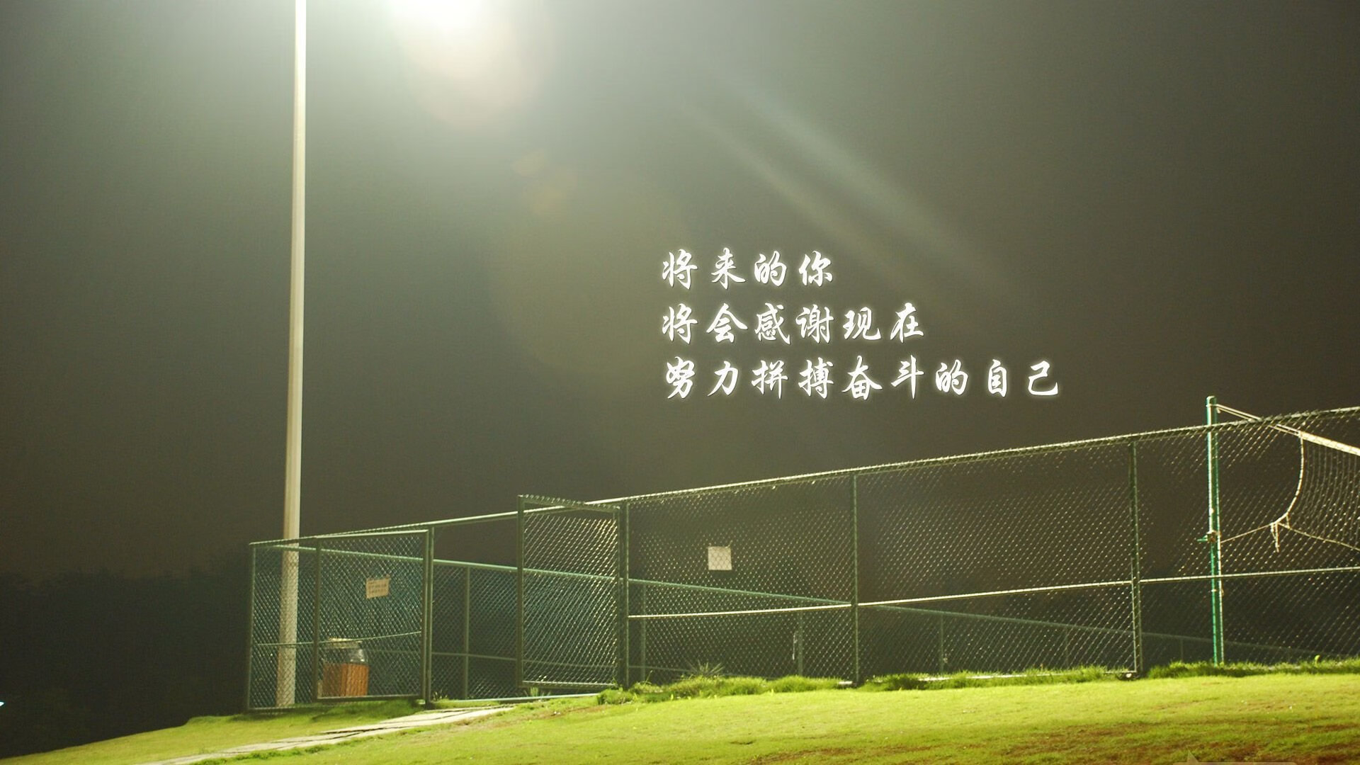 波斯铁骑折戟多哈,巴西3-0压制伊朗,迪亚斯独造三球成H组唯一破局者