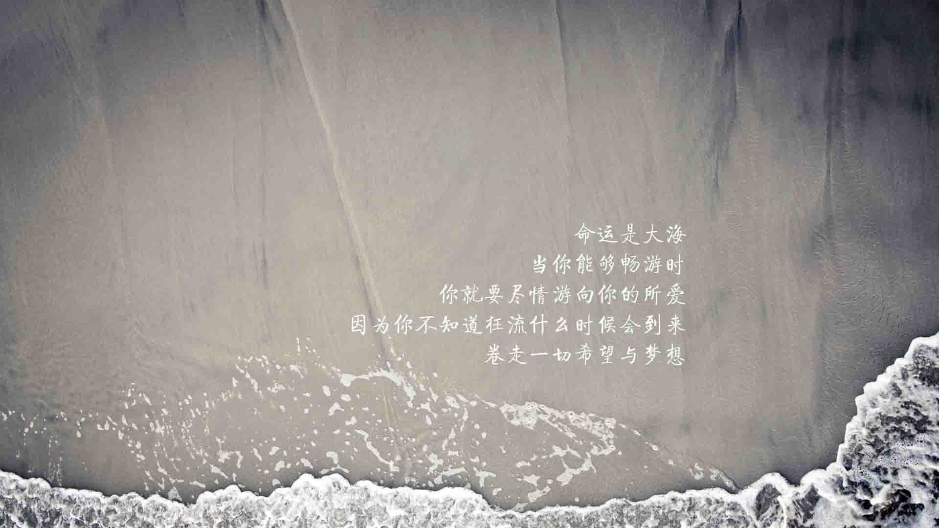 铁血魔笛奏响末章,2026世界杯E组关键战,布罗佐维奇以硬碰硬,率葡萄牙横扫加纳