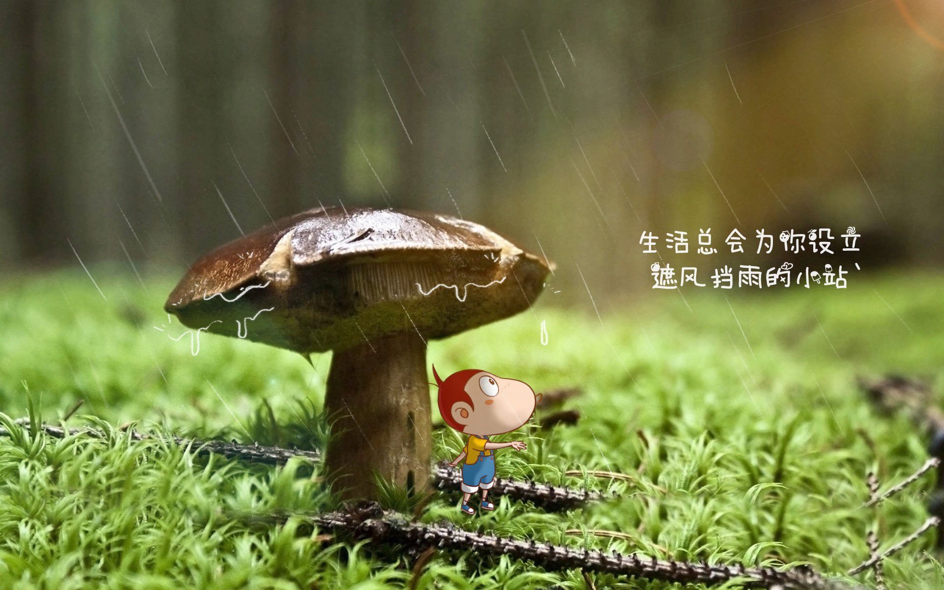 爱游戏娱乐-孤光一闪，谁主沉浮？厄瓜多尔绝杀荷兰，D组唯一悬念终解