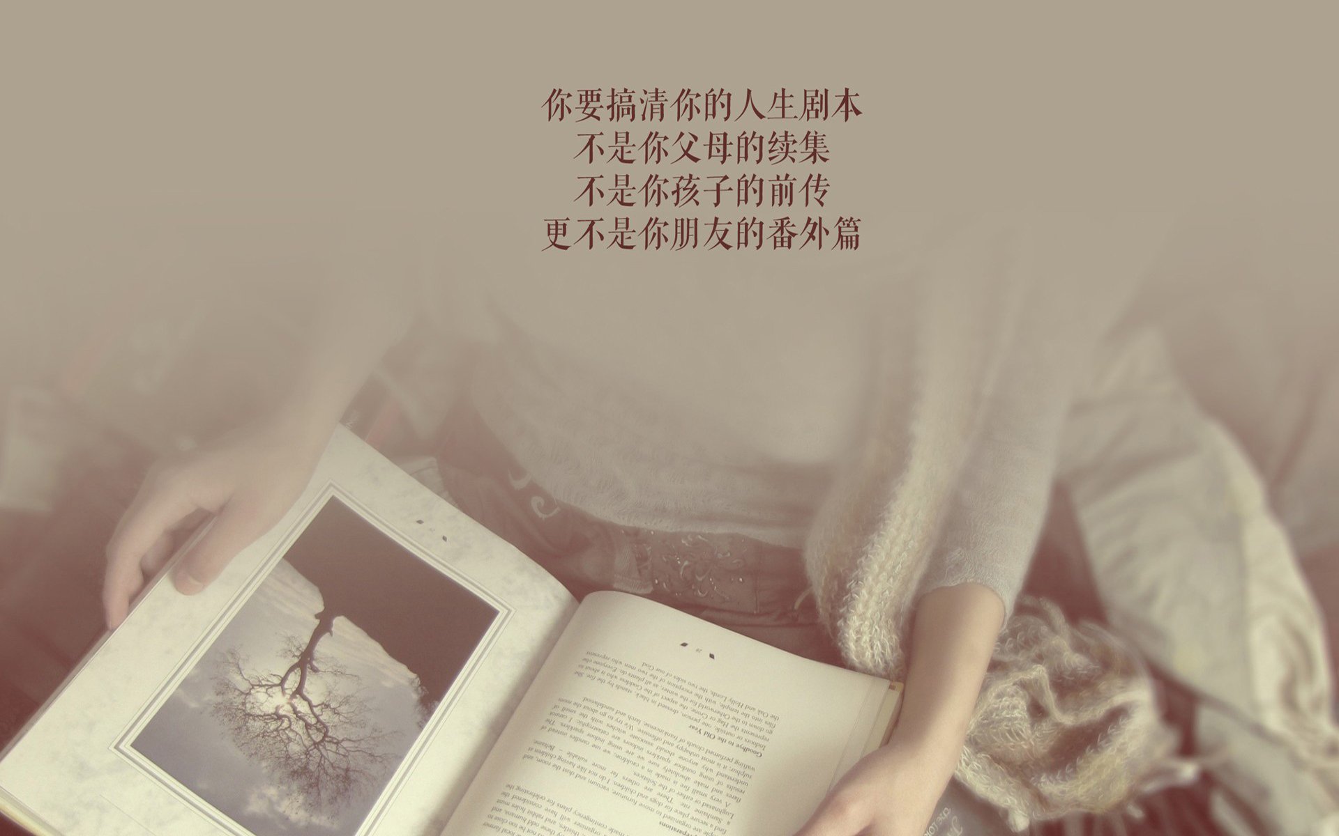 波斯铁骑踏碎星条旗，2026世界杯H组，当B费化身红色幽灵，一场关乎尊严的史诗级绞杀